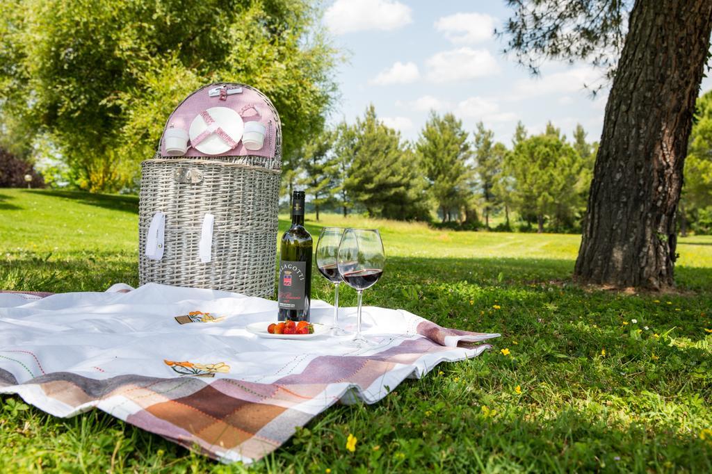Agriturismo Colleverde Selvatelle 외부 사진