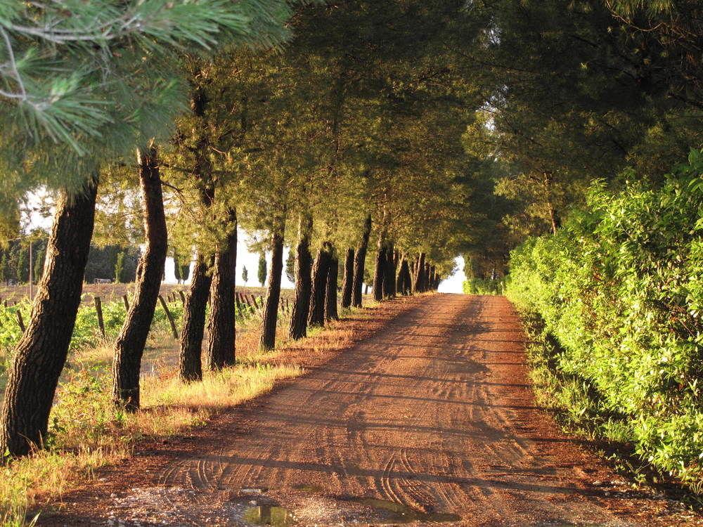 Agriturismo Colleverde Selvatelle 외부 사진