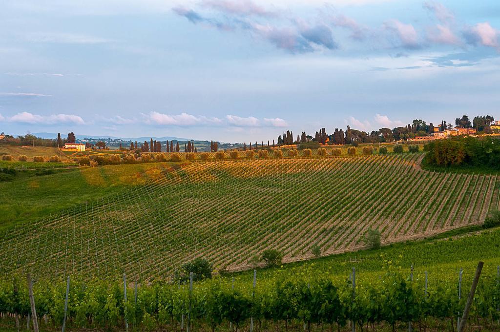 Agriturismo Colleverde Selvatelle 외부 사진