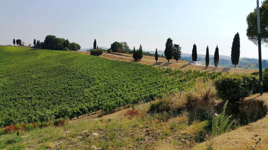 Agriturismo Colleverde Selvatelle 외부 사진