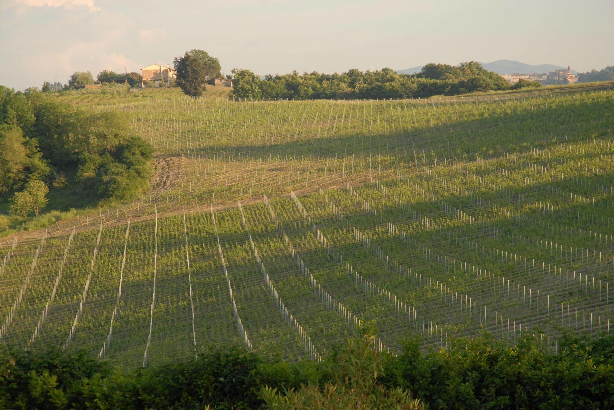 Agriturismo Colleverde Selvatelle 외부 사진