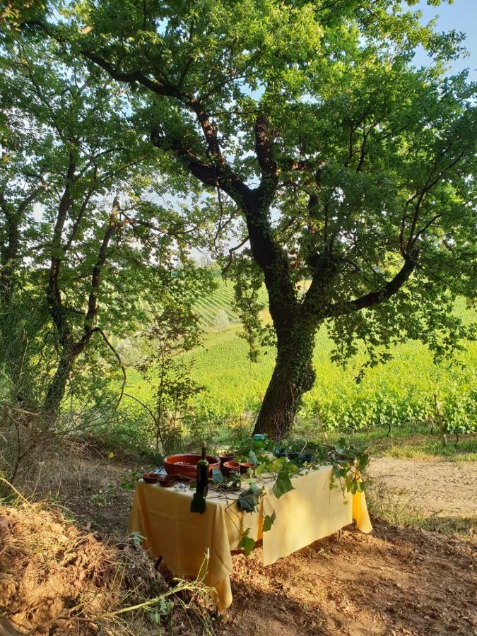Agriturismo Colleverde Selvatelle 외부 사진